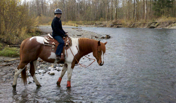 Triple C Pleasure Horses Boarding and Lessons