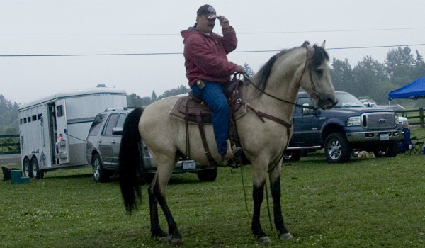 Triple C Pleasure Horses Boarding and Lessons