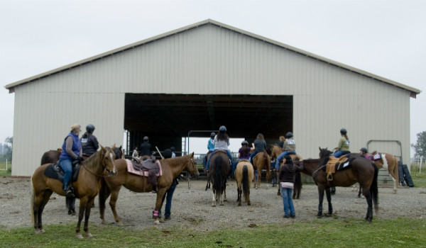 Triple C Pleasure Horses Boarding and Lessons